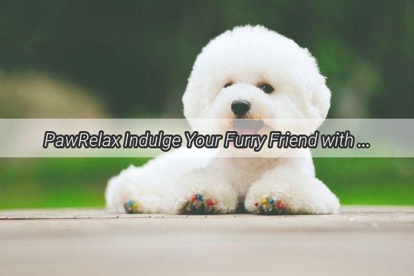 PawRelax Indulge Your Furry Friend with the Serenity of Dog Massage to Music